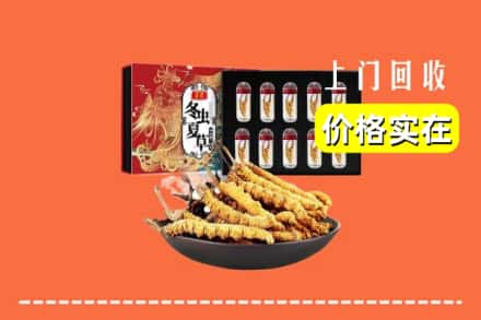 那曲市安多县回收冬虫夏草